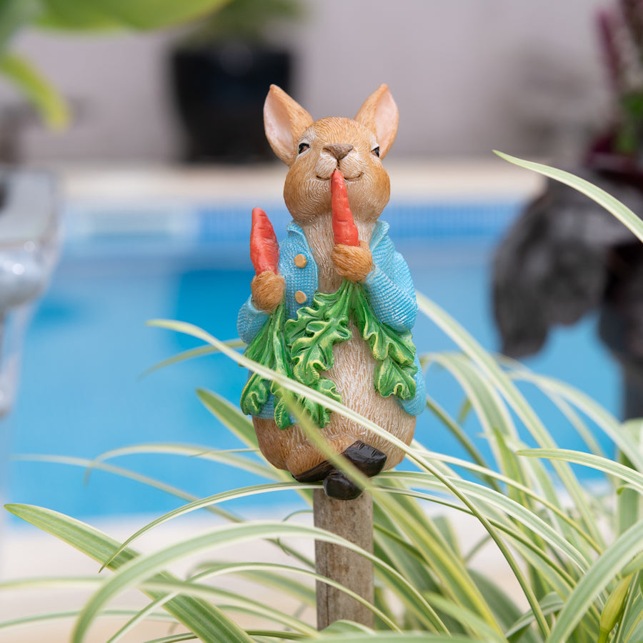 Kukkakepin kaveri Petteri Kaniini, jardinopia