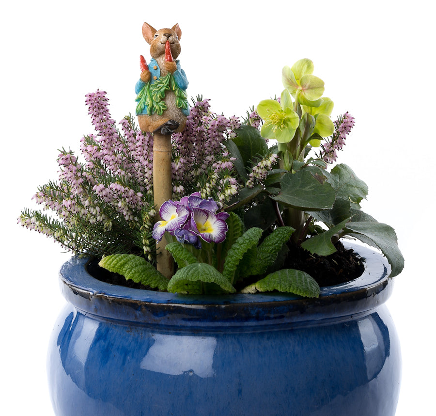 Kukkakepin kaveri Petteri Kaniini, jardinopia