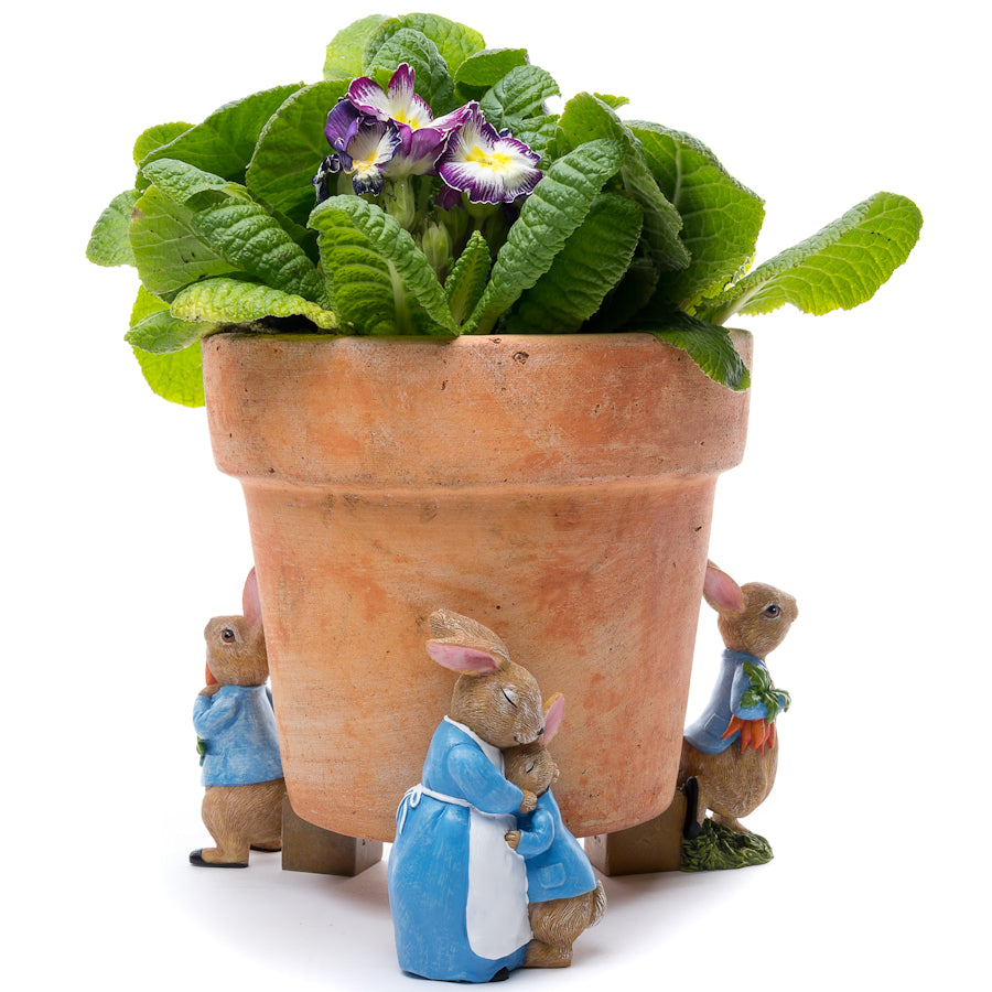 Ruukkutassut Beatrix Potter Set 1: Petteri kaniini - Peter Rabbit halaus