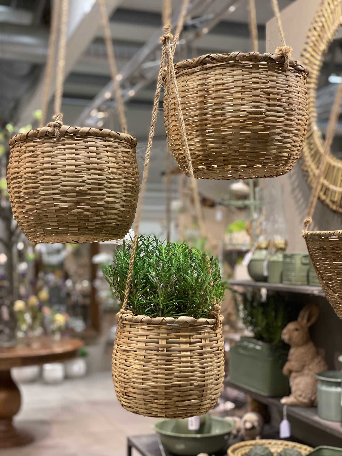 Koriamppeli bambu keskikokoinen 3 kpl setti