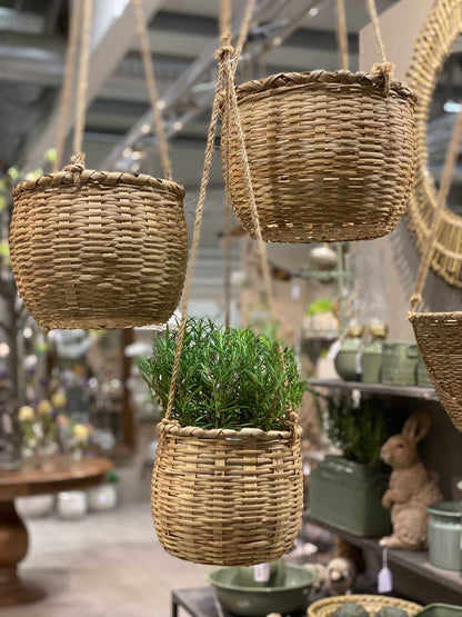 Koriamppeli bambu keskikokoinen 3 kpl setti