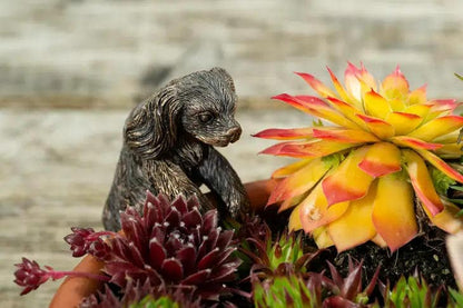 Ruukkukaveri Cavalier&shy;king&shy;charlesin&shy;spanieli