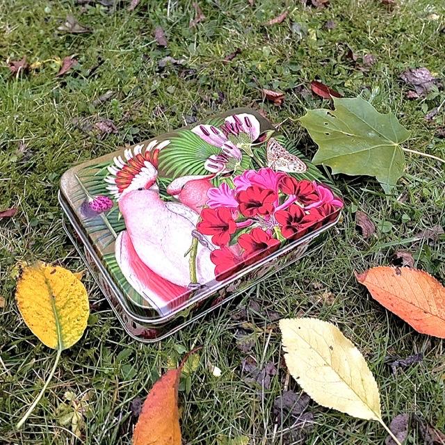 Värikäs peltirasia Pinkit papukaijat