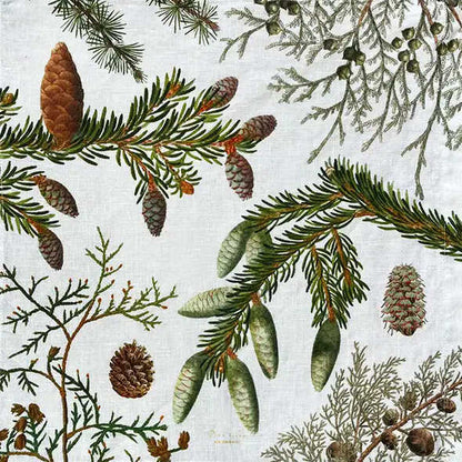 Pöytäliina Kävyt Pine Trees 145 x 220 cm