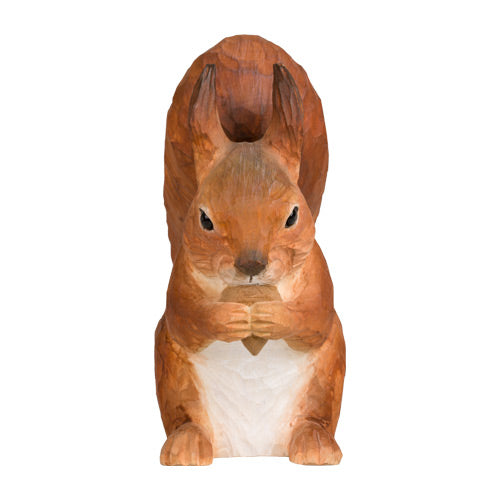 Orava syö tammenterhoa Wildlife Garden