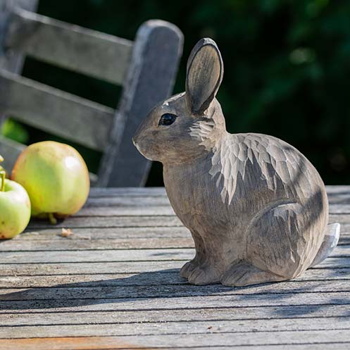 Pupu ja omenat pöydällä