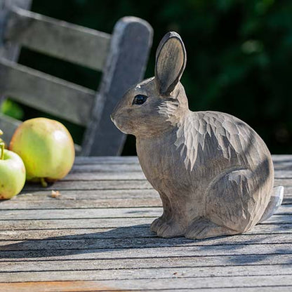 Pupu ja omenat pöydällä