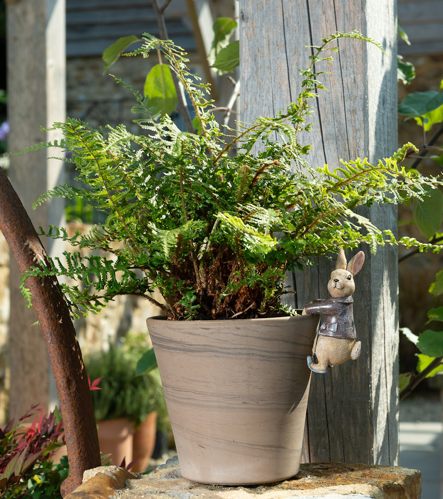 Ruukkukaveri Benjamin Rabbit pupu