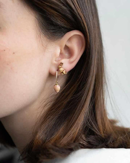 Korvakorut Kani