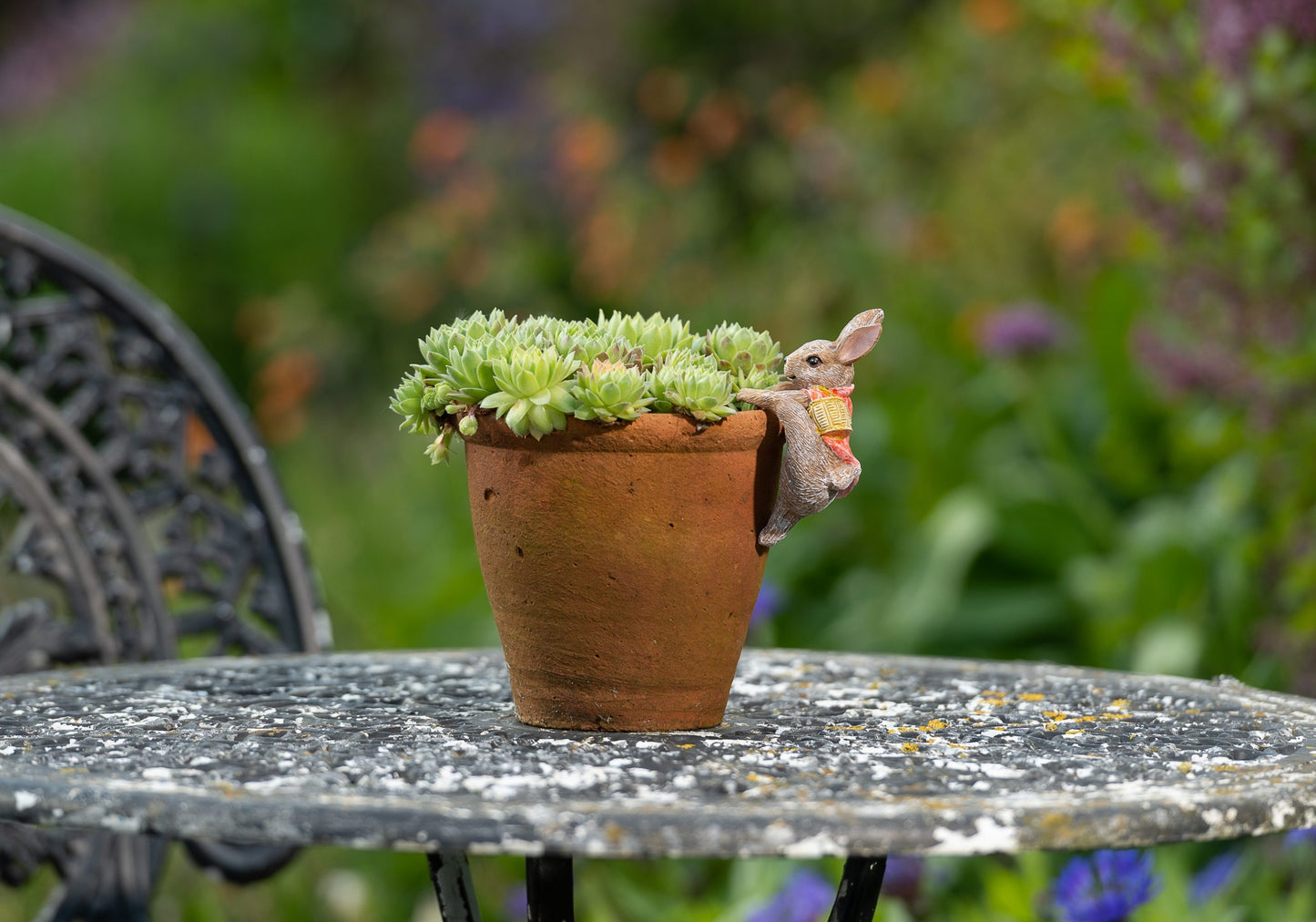 Ruukkukaveri Beatrix Potter Flopsy pupu