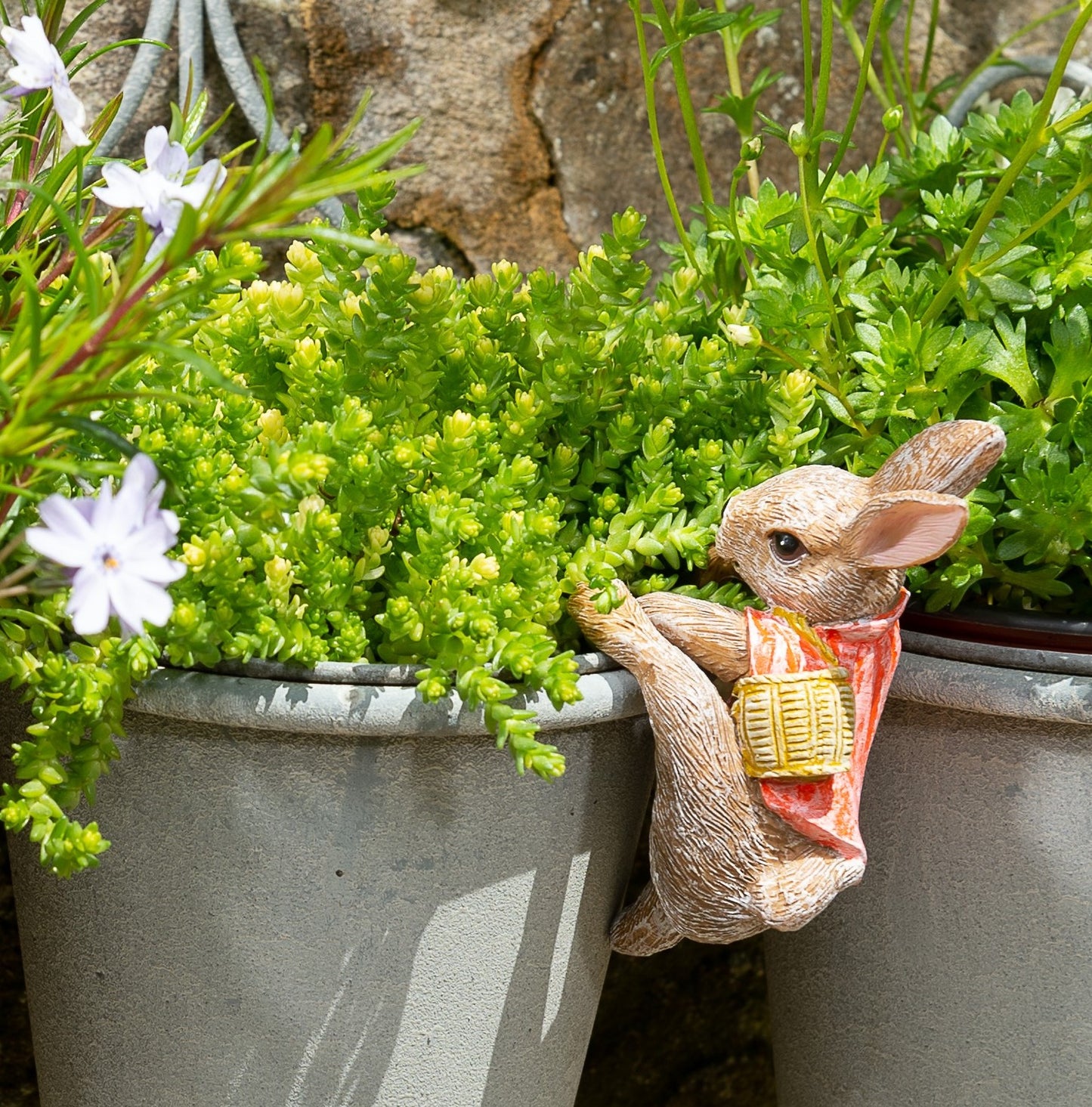 Ruukkukaveri Beatrix Potter Flopsy pupu