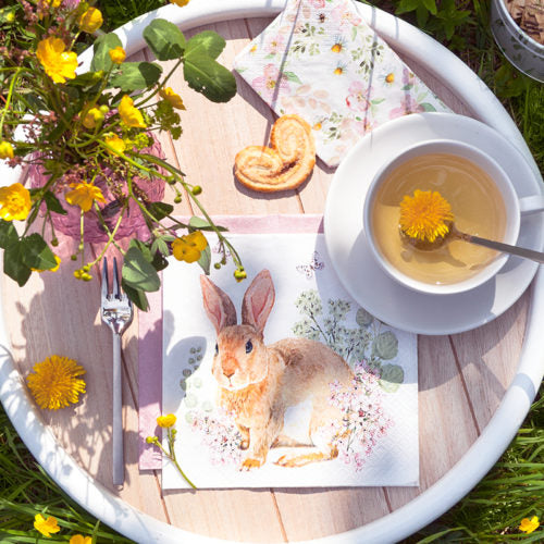 Servetti Rosi Rabbit 33 x 33 cm