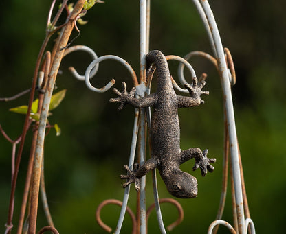 Ruukkukaveri Sisilisko / Gekko