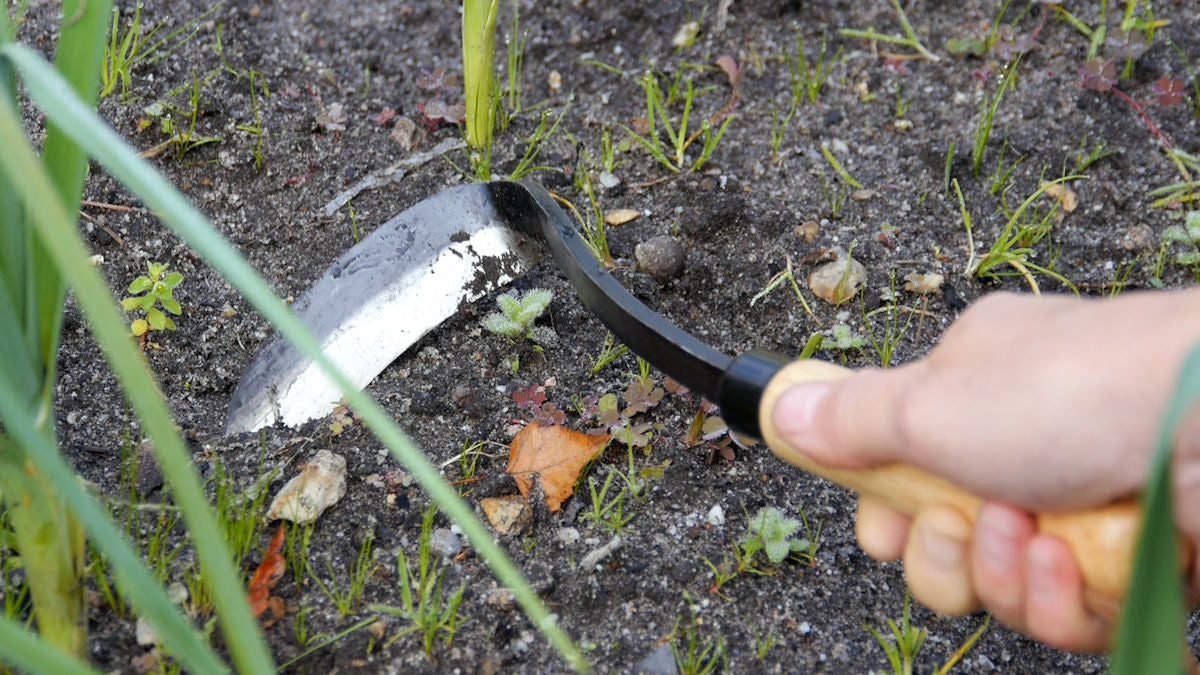 Kitkemistyökalu - Japanese Razor Hoe