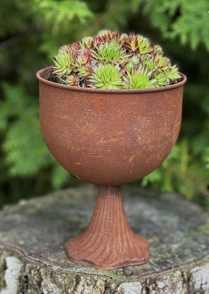 Pokaali ruukku ruosteinen, korkeus 20 cm