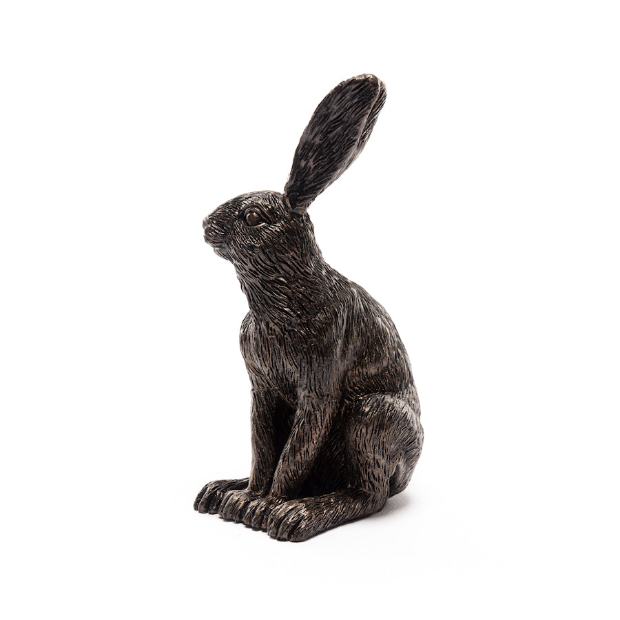 Ruukkutassut Jänis - Vigilant Hare