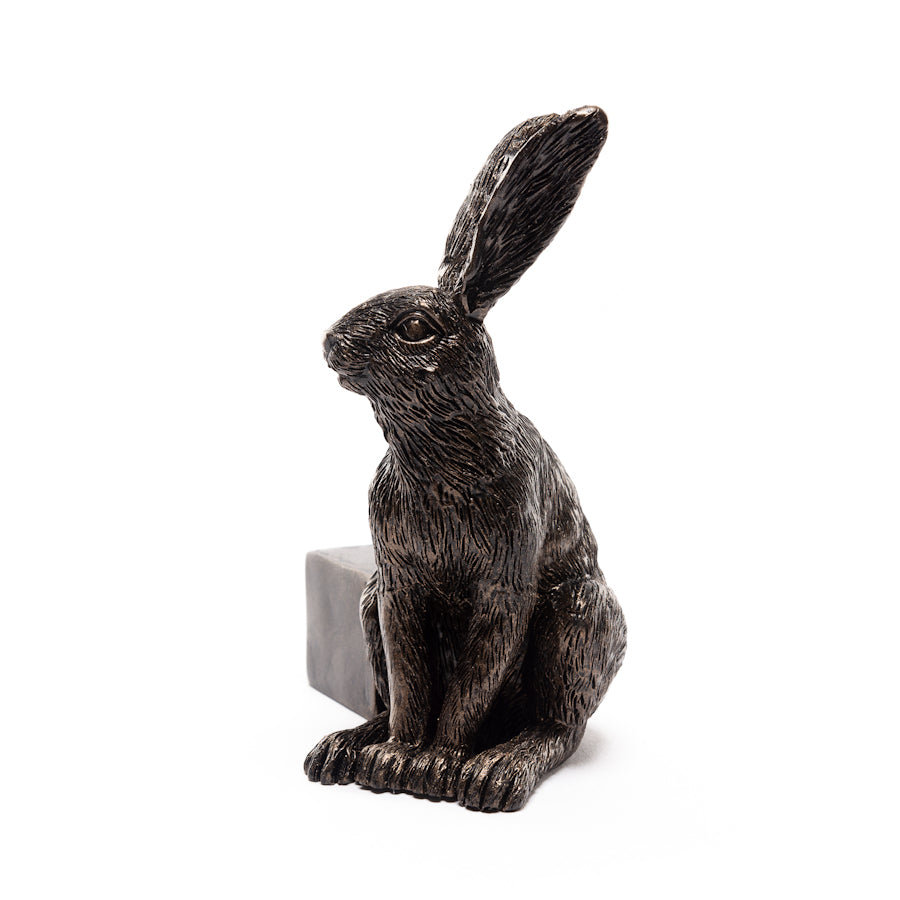 Ruukkutassut Jänis - Vigilant Hare