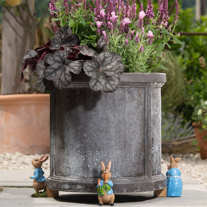 Ruukkutassut Beatrix Potter Set 1: Petteri kaniini - Peter Rabbit halaus