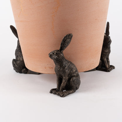 Ruukkutassut Jänis - Vigilant Hare