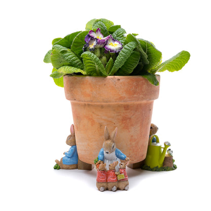 Ruukkutassut Beatrix Potter Set 5: Petteri Kaniini ja kastelukannu