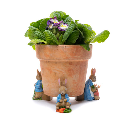 Ruukkutassut Beatrix Potter Set 5: Petteri Kaniini ja kastelukannu