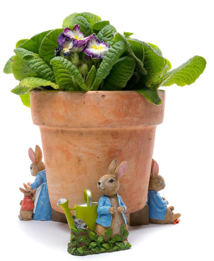Ruukkutassut Beatrix Potter Set 5: Petteri Kaniini ja kastelukannu