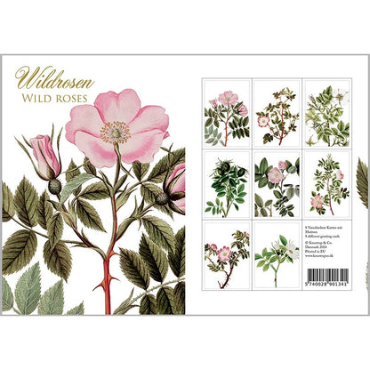 Postikortit Villiruusut - Wild roses 8 kpl