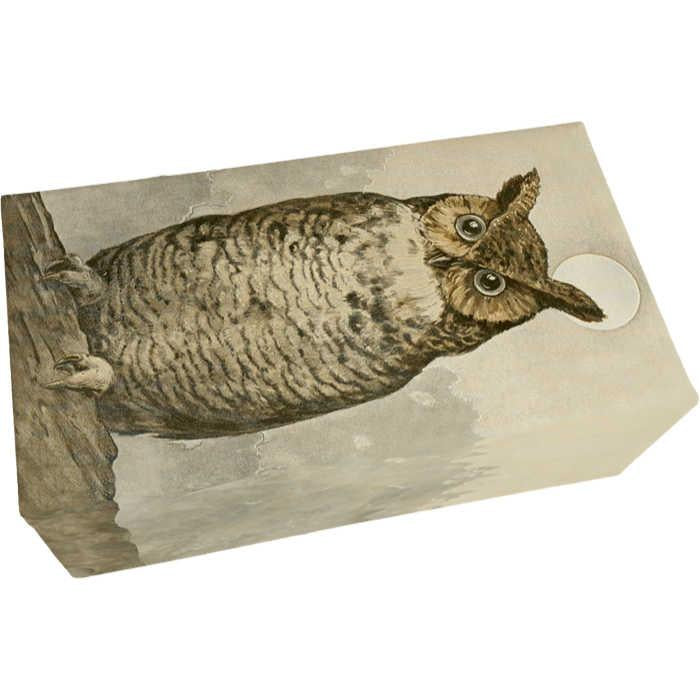Saippua Pöllö - Metsän tuoksuinen