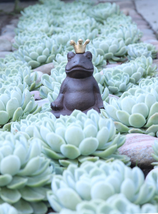 Kruunu päässä istuva sammakko