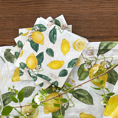 Servetti Sitruuna 33 x 33 cm