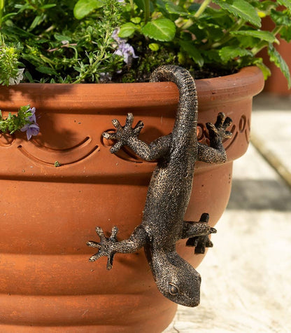 Ruukkukaveri Sisilisko / Gekko