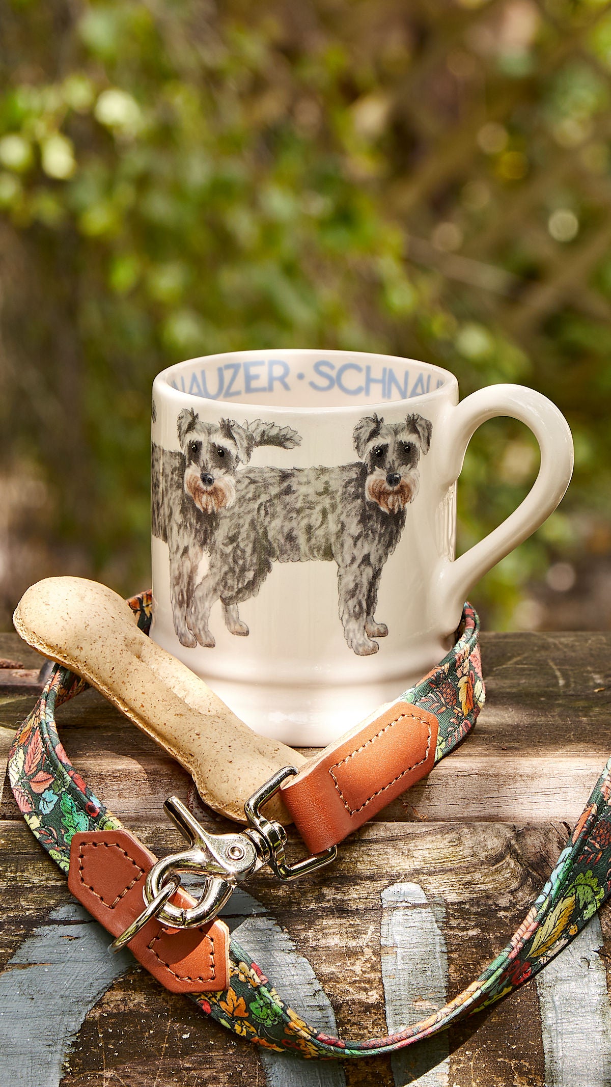 Muki Snautseri - Schnauzer