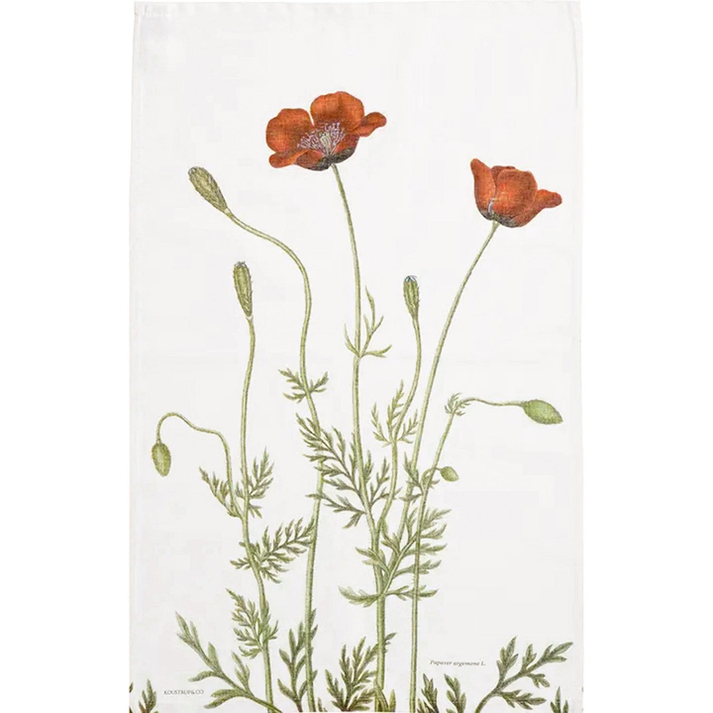 Keittiöpyyhe Unikko - Poppy