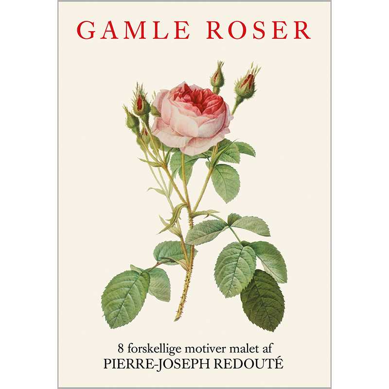 Postikortit vanhat ruusut - Old Roses 8 kpl