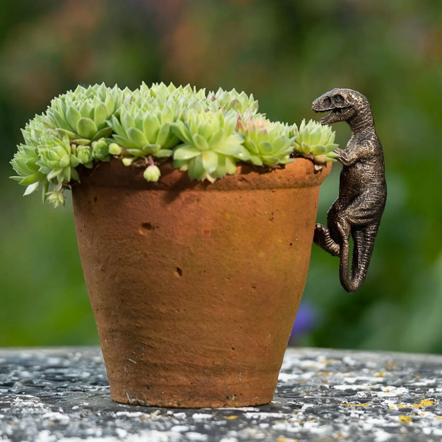 Ruukkukaveri Dinosaurus Velociraptor
