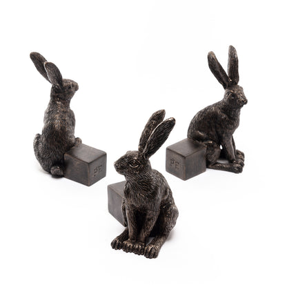 Ruukkutassut Jänis - Vigilant Hare