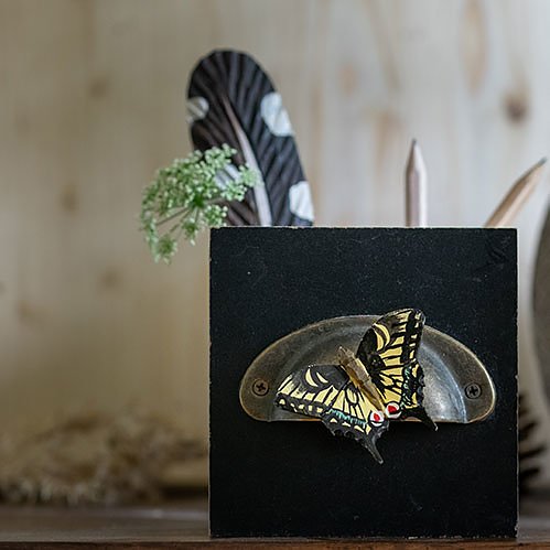 Puinen magneetti Ritariperhonen - Swallowtail Butterfly