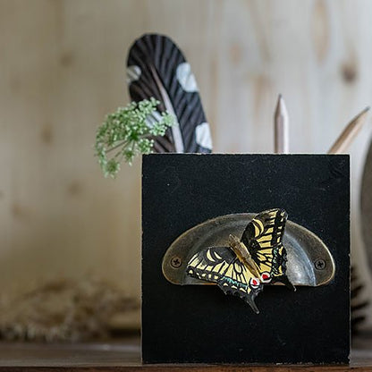 Puinen magneetti Ritariperhonen - Swallowtail Butterfly