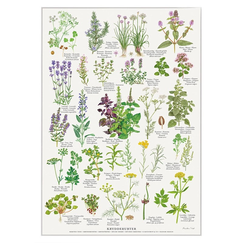 Juliste A4 Yrtit Herbs Puutarhurin Maja Juliste A4 Yrtit Herbs Puutarhurin Maja