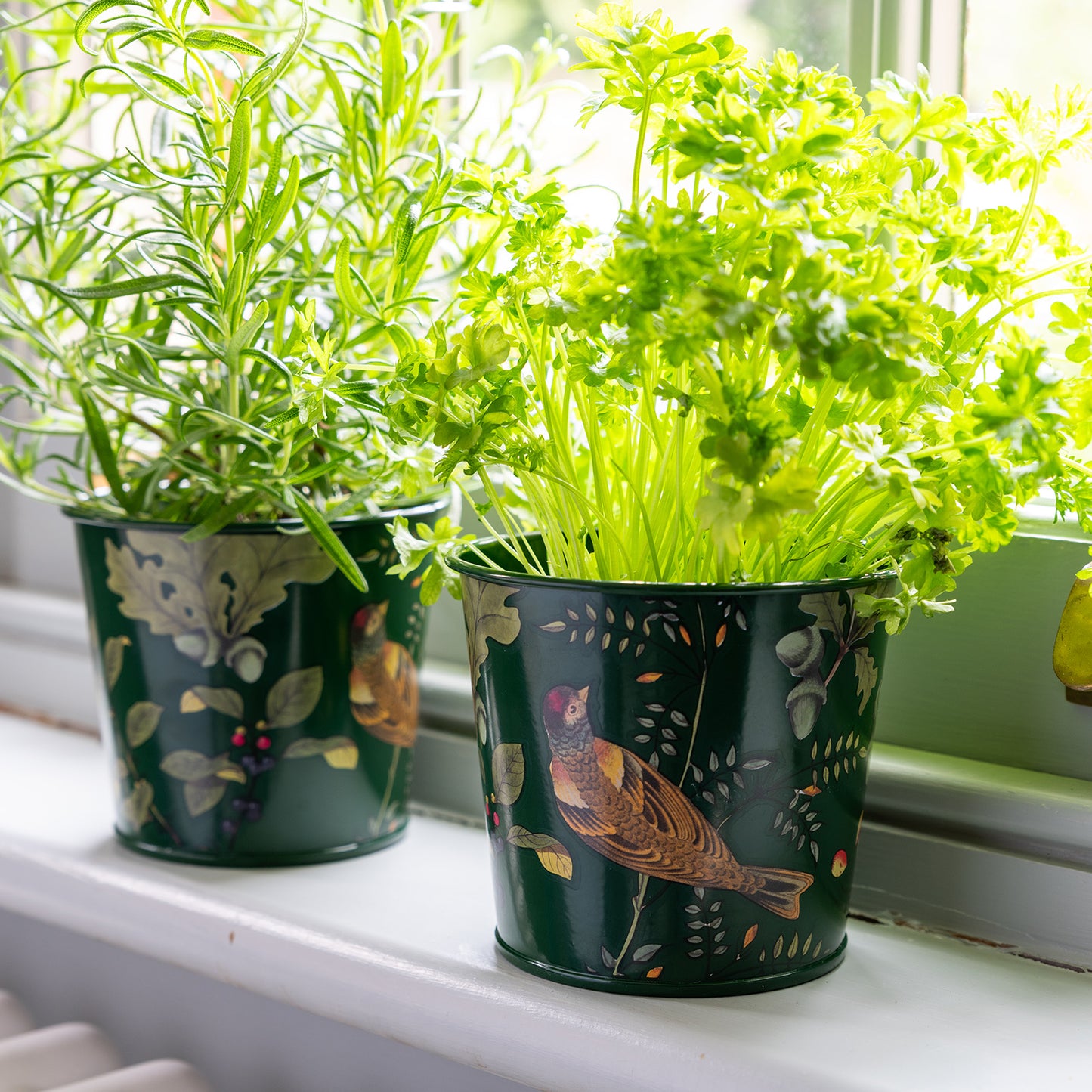 Metalliset yrttiruukut 2 kpl setti - Woodland Wonders