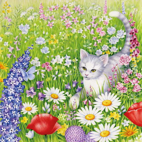Kissaservetti kukkia