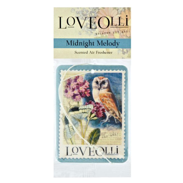 Zpoistunut Ilmanraikastin Midnight Melody, LoveOlli