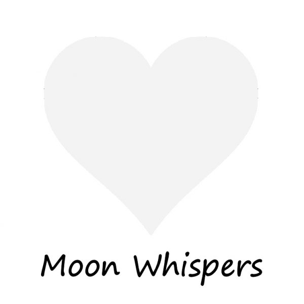 Zpoistunut Trim Paint listamaali Moon Whisper - Vaaleanharmaa 500 ml, Frenchic