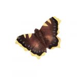 Puinen magneetti Suruvaippa perhonen - Camberwell Beauty Butterfly, Wildlife Garden on lisätty toivelistallesi
