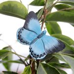 Puinen magneetti Sinisiipi - Holly Blue, Wildlife Garden on lisätty toivelistallesi