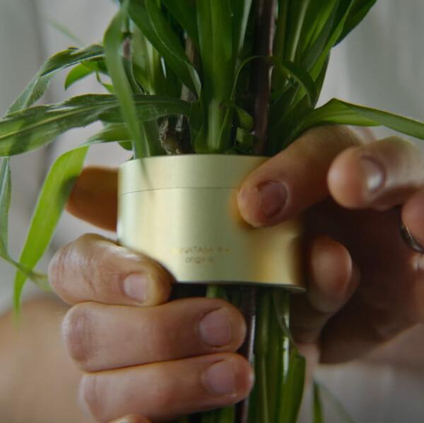 Hanataba kukkatuki Vaalea kulta - Champagne Gold 2 kpl setti - Image 9