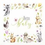 Servetti  Hello Baby 33 x 33 cm on lisätty toivelistallesi