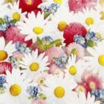 Servetti Päivänkakkarat - Flower Carpet 33 x 33 cm on lisätty toivelistallesi